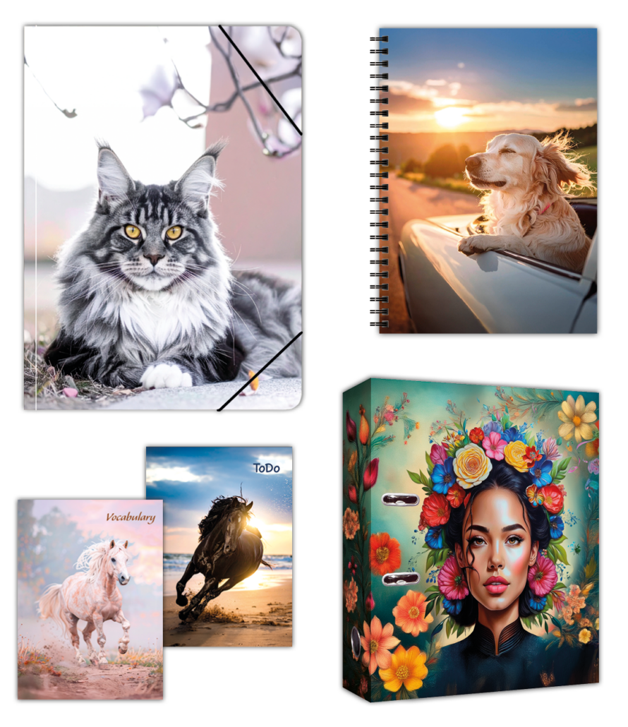 PaperConcept_3er-Collage